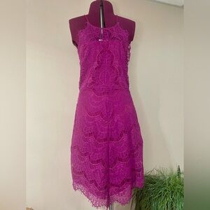 Free People Elegant Lace Dress in Rich Purple size Medium NWT
